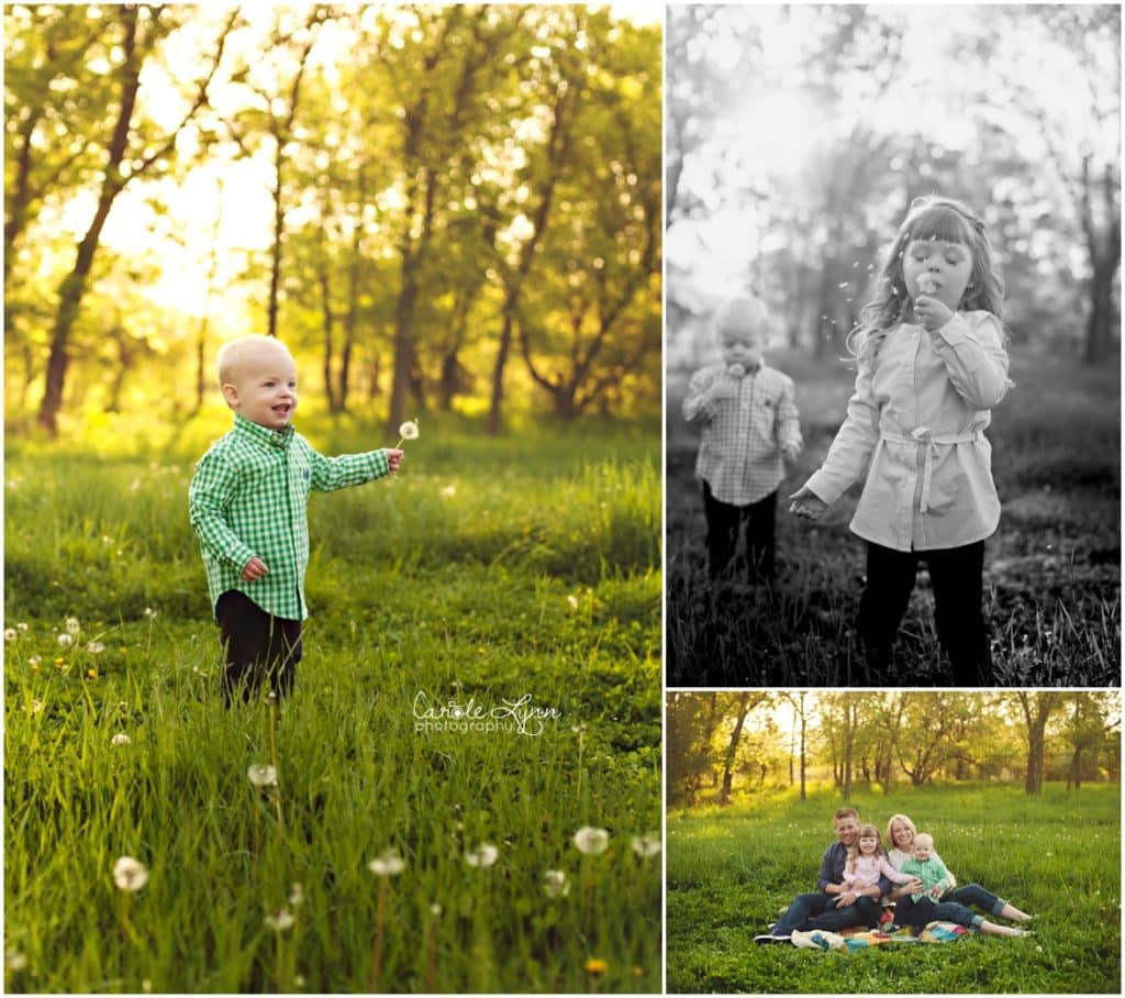 lake county il family photographer